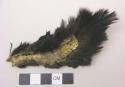 Piece of bird skin with black feathers