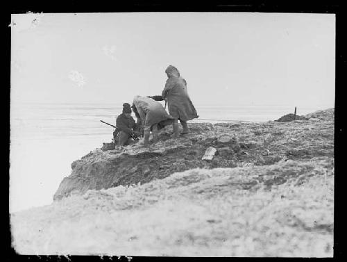 Digging on southeast point of Flaxman Island