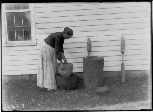 Mrs. Thomas Silverheels (Seneca) washing corn