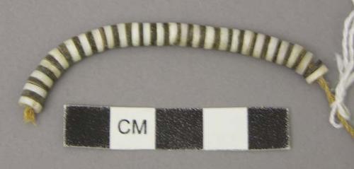 Shell beads