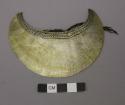 Crescent shaped gorget cut from pearl oyster shell with incised designs