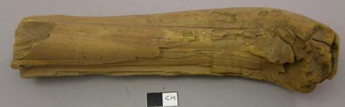 Wood fragment, possibly worked