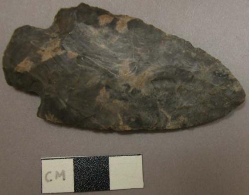 Projectile point