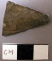 Projectile point