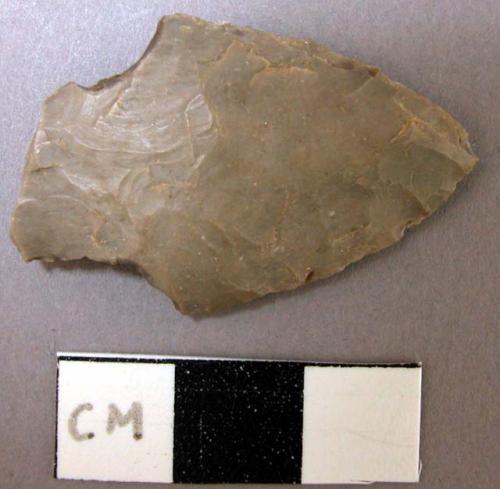 Projectile point