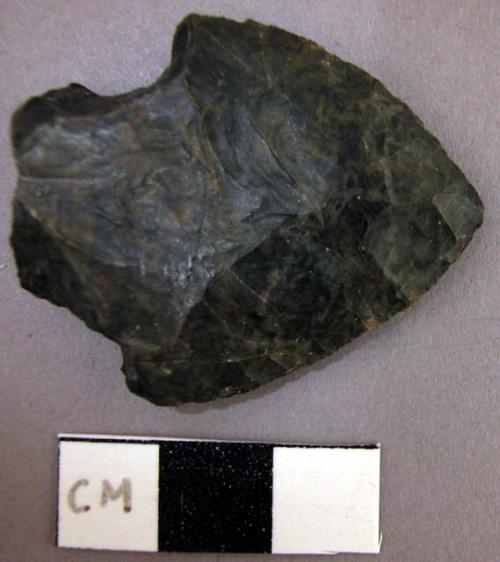 Projectile point