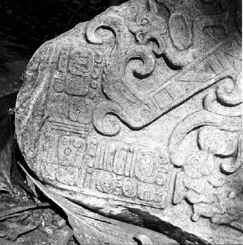 Detail of Stela 7 at Machaquila