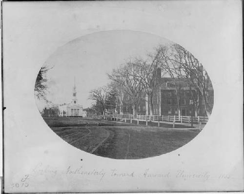 Agassiz Museum, the Old Church, and the Holme's House