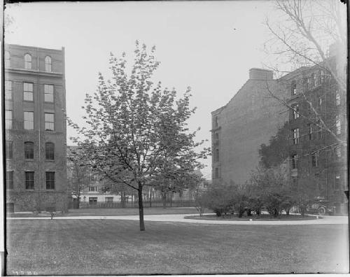 Peabody Museum - space to be filled by new addition, circa 1913