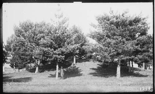 Mound in cemetery at Newton