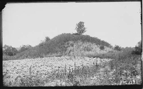 Mound near Newton