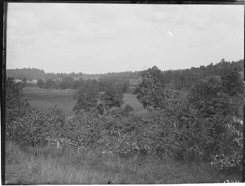 General view looking West