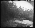 Brush creek at bend near great rocks