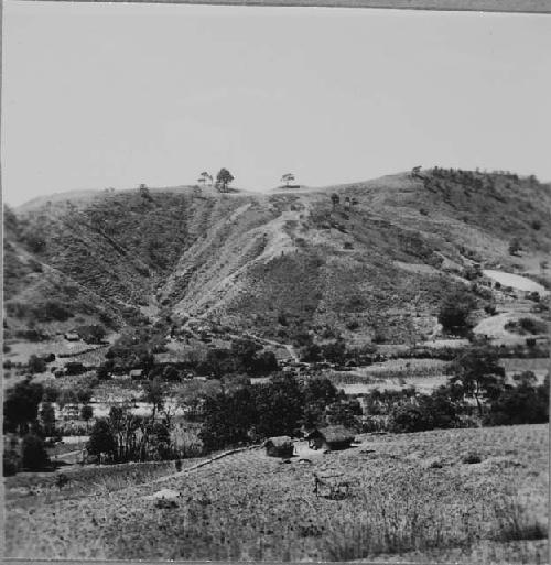 Looking South from Ruins