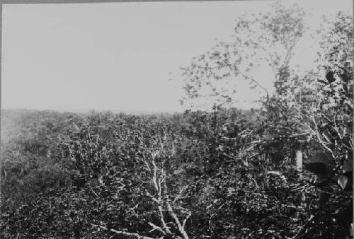 View from Temple 1 to North-West; Part of Panorama, Negative 3