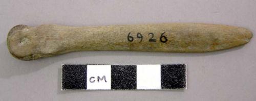 Bone tool made of a metatarsal bone. Large mammal, metapodial.