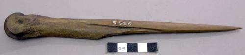 Dagger made of metatarsel bone of stag. Large mammal, metapodial.