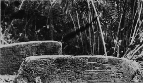 Stela 6; Front and in the Background; Stela 8; Back.