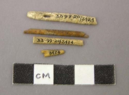 Bone needles or fragments of same