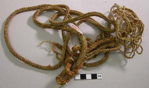 Snare, braided yucca, 3 pieces covered with cedar bark