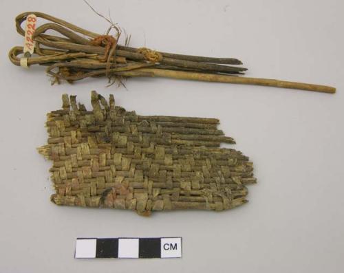 Wood & fiber bundles & 1 basket fragment