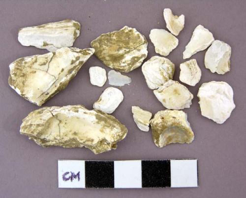 Shell fragment, oyster shell, organic faunal remains various thicknesses