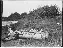 Louis Pielsok and two boys sitting with birchbark canoe (PM# 96-22-10/50820); logs floating in the Penobscot River