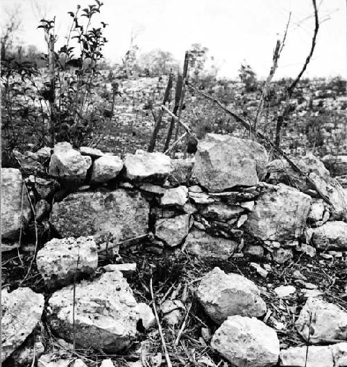 Colonial building, interior face of west wall