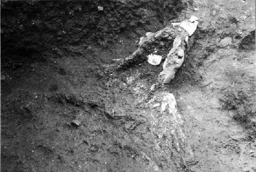 Jade incrusted mask or headdress, Mound E-III-3; Tomb 2; Southeast corner