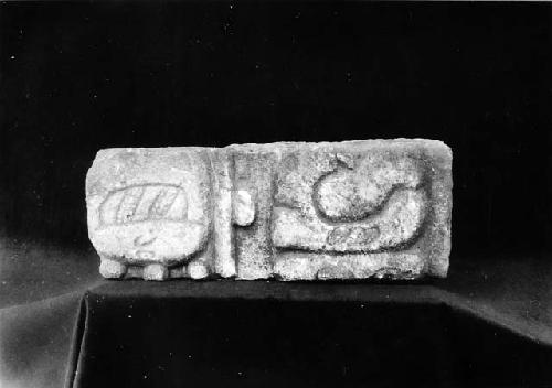 Hieroglyphic stone from Buena Vista, 1