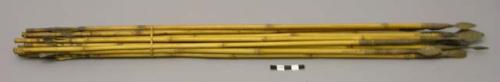 Arrows with leaf shaped metal heads and bamboo shafts with incised designs