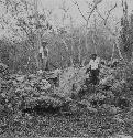 Mayapan City Wall at 5350 W 1175, just South of the Xcanchakan trail