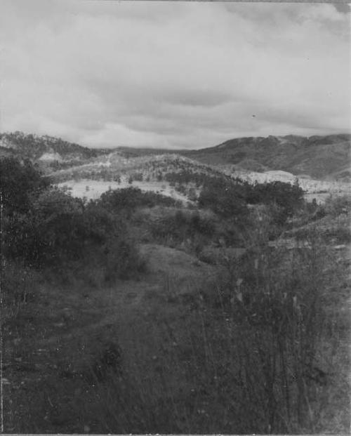 Panorama across Plaza VIII; View from Upper Terrace of Structure 3