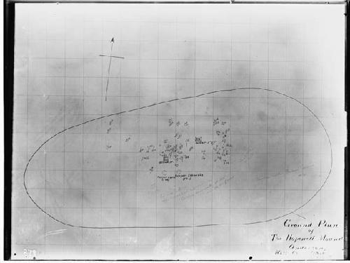 Plan of effigy mound