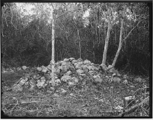 Mound Southwest of temple - before excavation