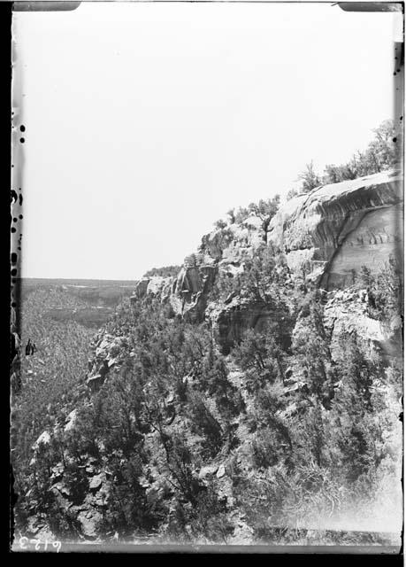 Looking Down the Canyon from Bottom Near Cliff Palace