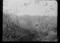 Trench Looking Southeast from Southern Portion of River