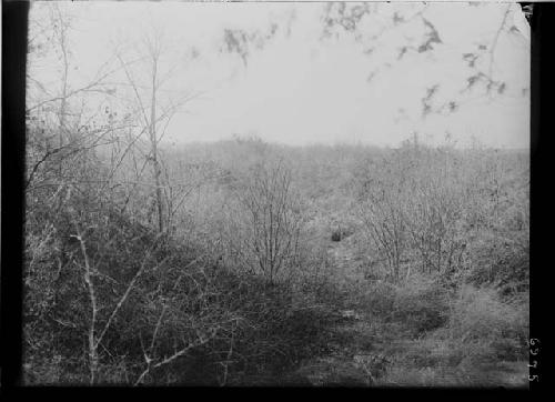 Trench Looking Southeast from Southern Portion of River