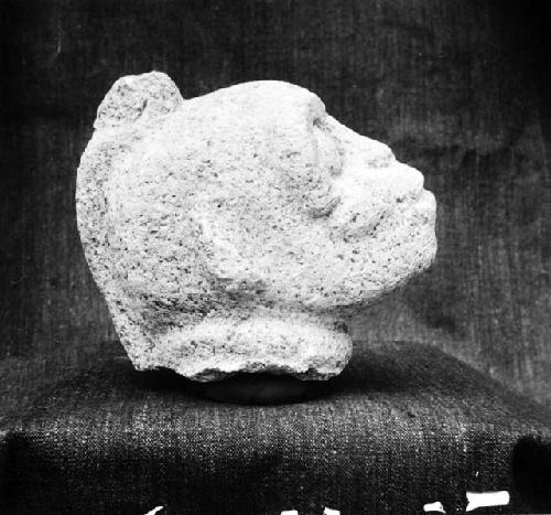 Stone monkey head