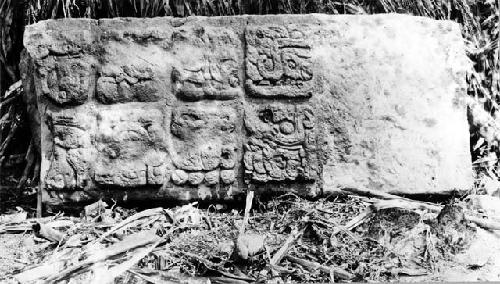 Front of bottom piece of Stela 19