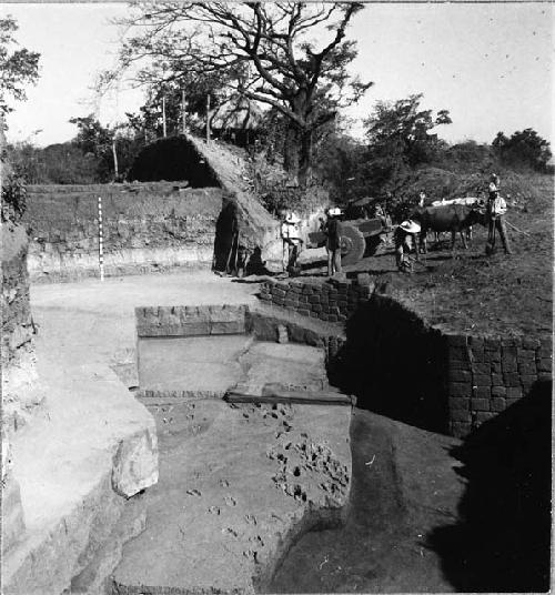 Ox cart hauling dirt at El Cauce