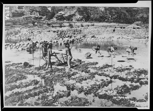 Preparing Ground for Planting Rice