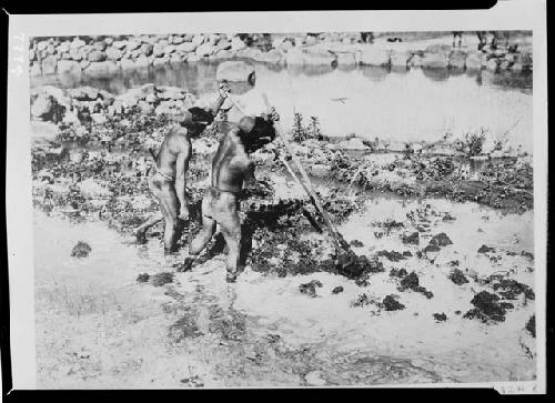 Preparing Ground for Planting Rice