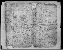 Codex Xolotl