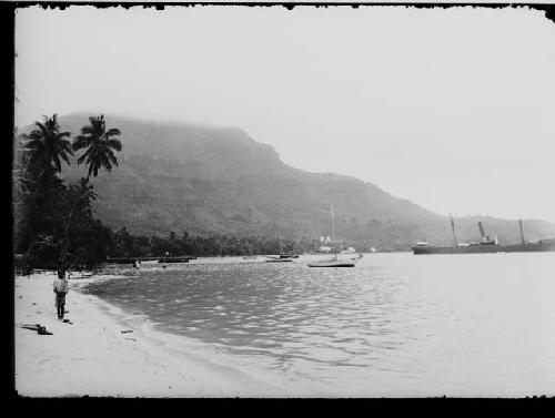 Harbor with Albatross (at right)