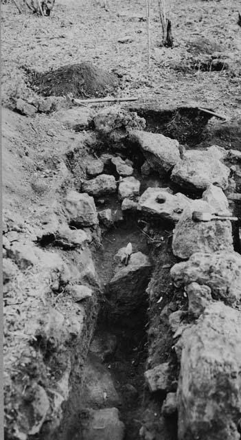 Trench along property wall north of Q-99