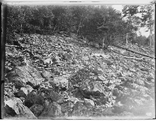 Talus Slope Near West End of Mt. Kineo