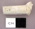 Ceramic, pipe stem, fragment with spur 4/64