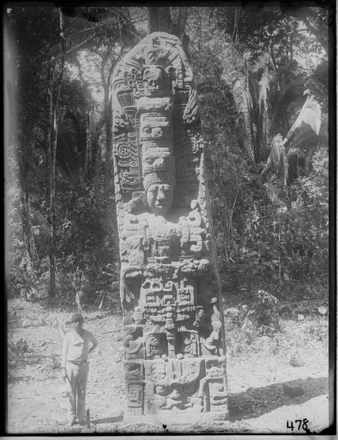 Stela 3 (D) - South Side