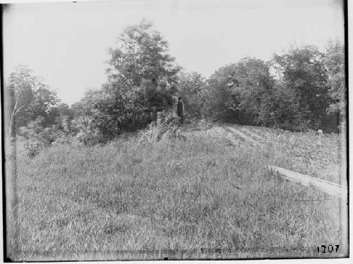 Mound 3